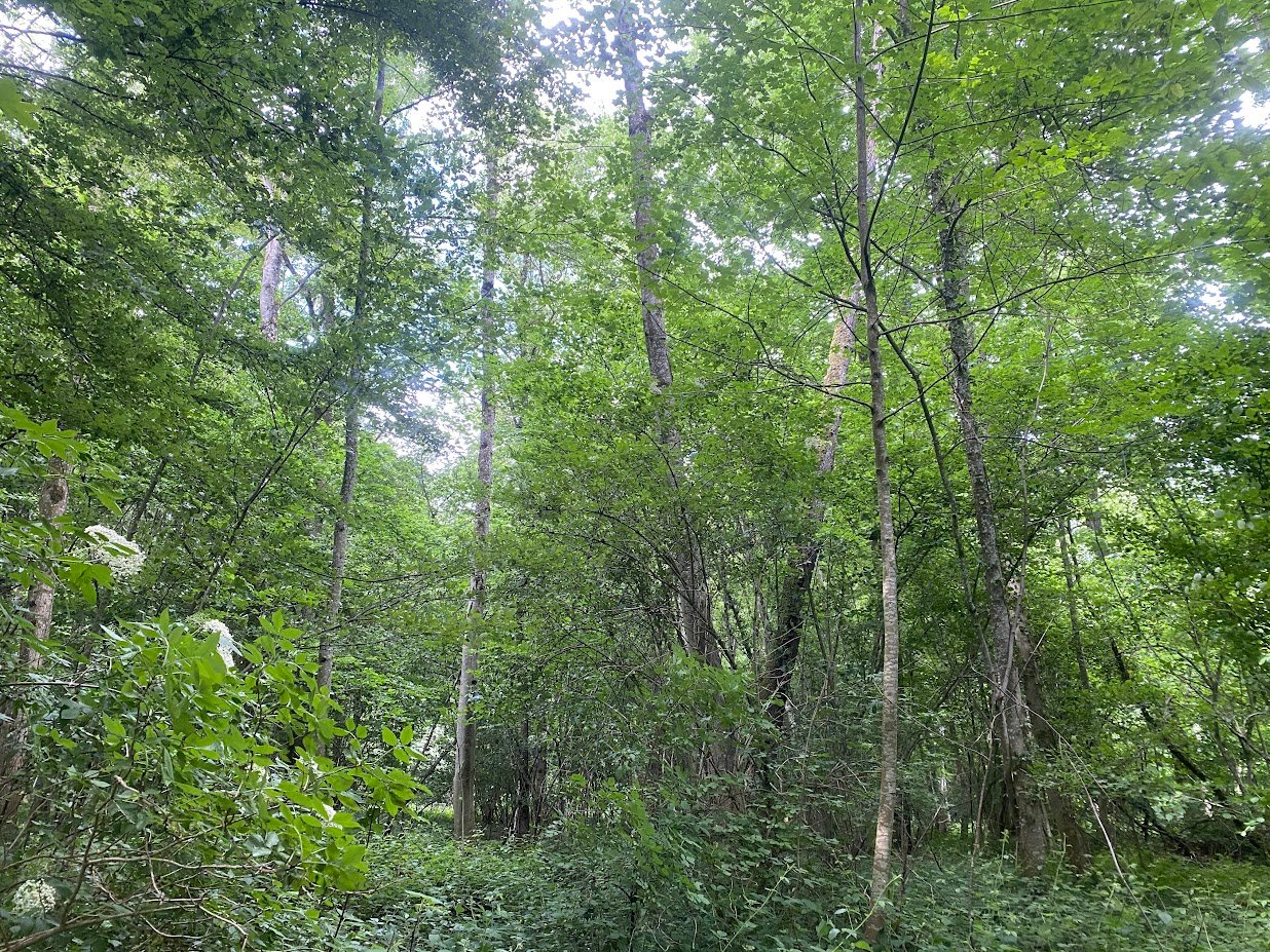 Bois et prairies sur 5,7 ha (Aisne)