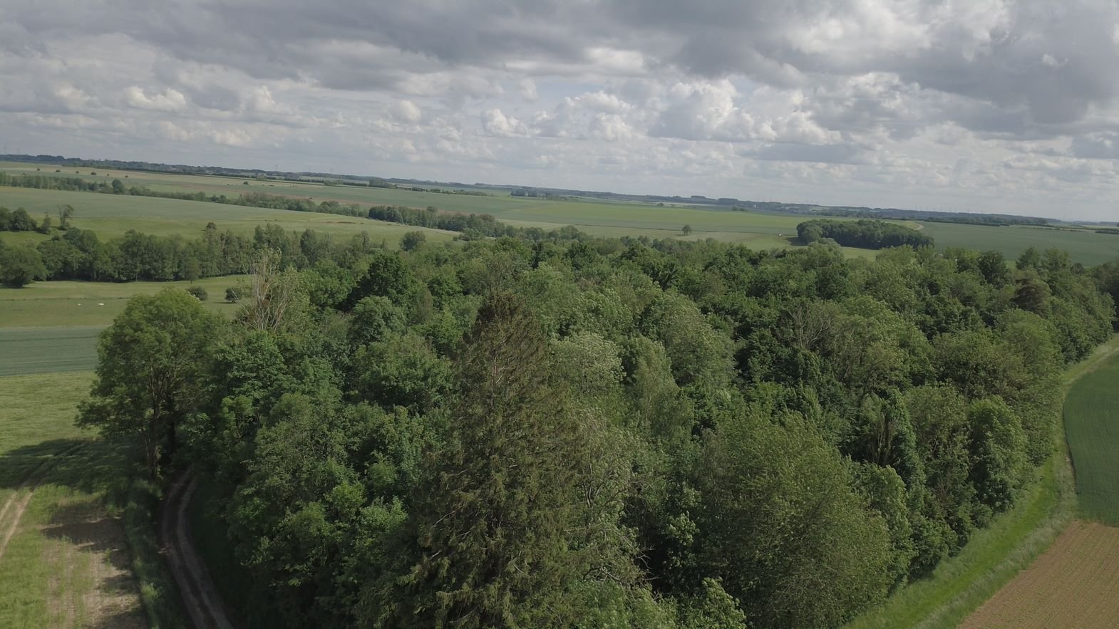 Bois et prairies sur 5,7 ha (Aisne)