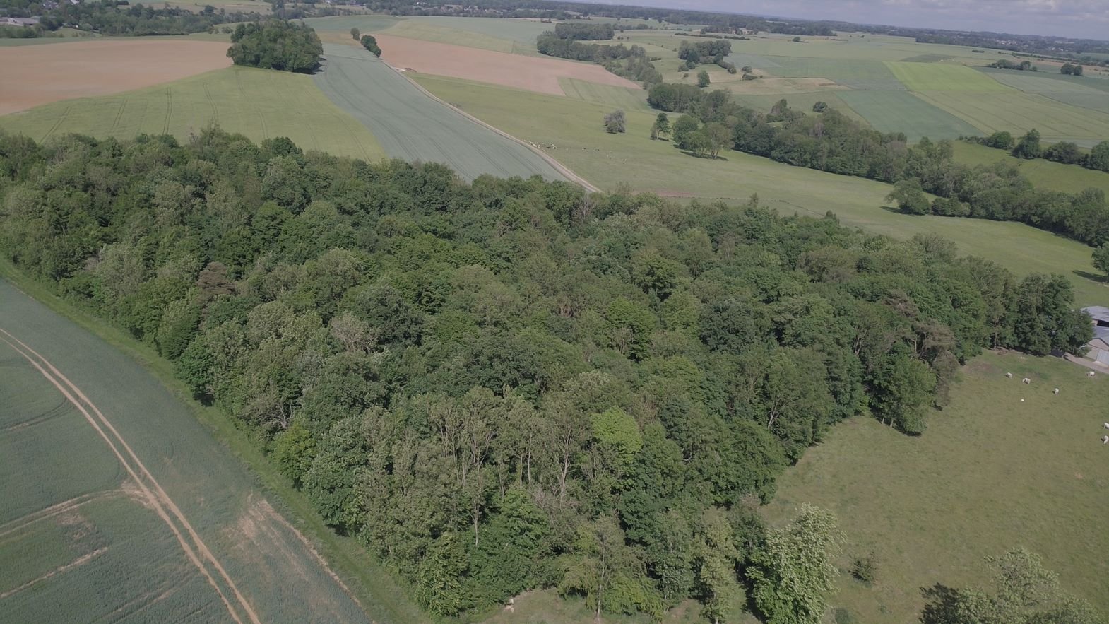 Bois et prairies sur 5,7 ha (Aisne)