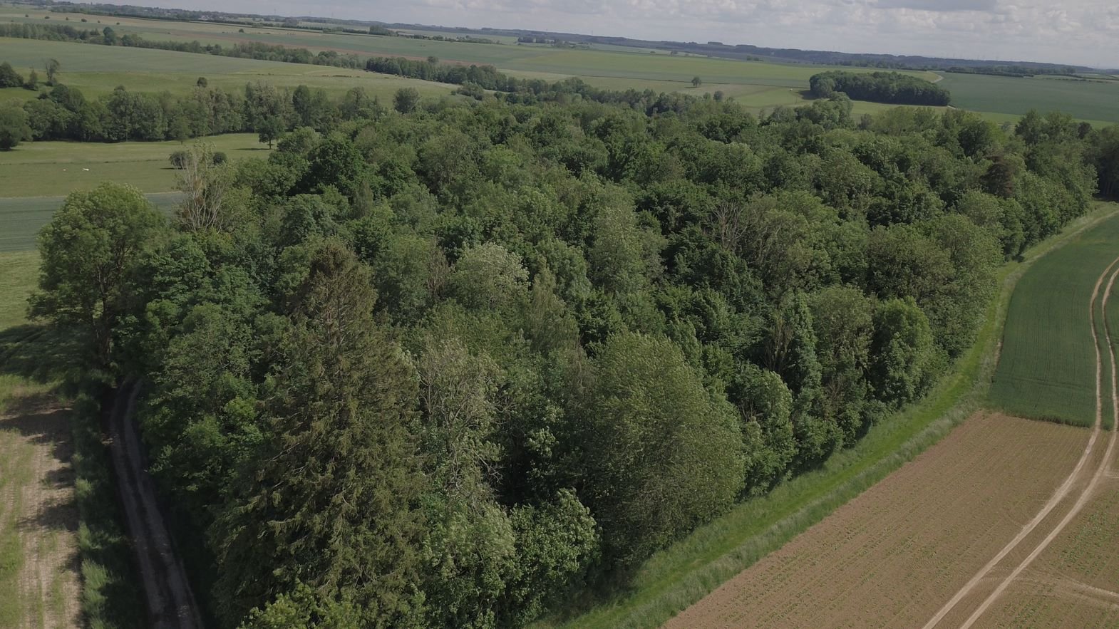 Bois et prairies sur 5,7 ha (Aisne)