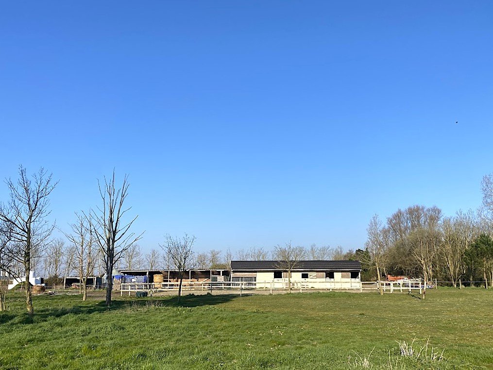 Domaine d’exception de près de 7.5 hectares clôturé avec maison de caractère, étang profond, hutte de chasse et installations équestres