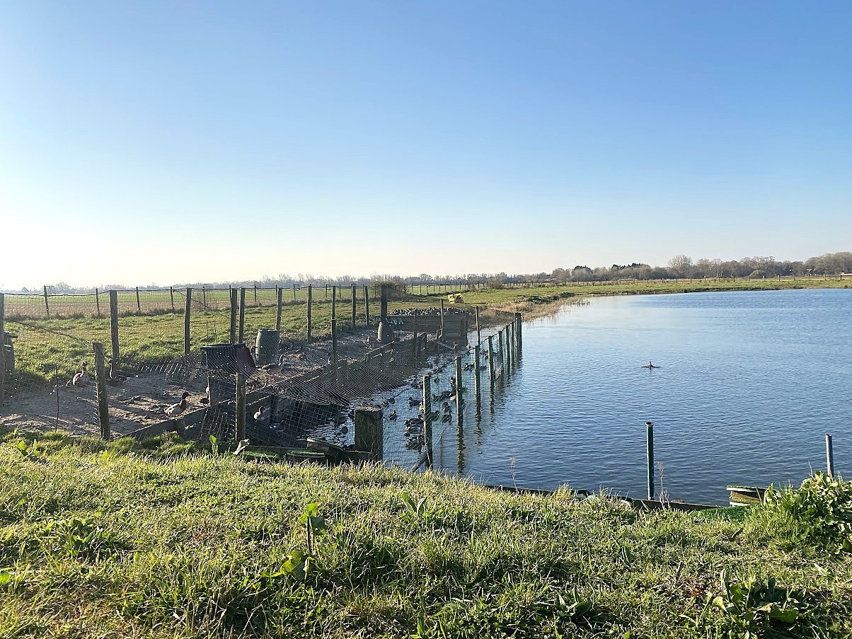 Domaine d’exception de près de 7.5 hectares clôturé avec maison de caractère, étang profond, hutte de chasse et installations équestres