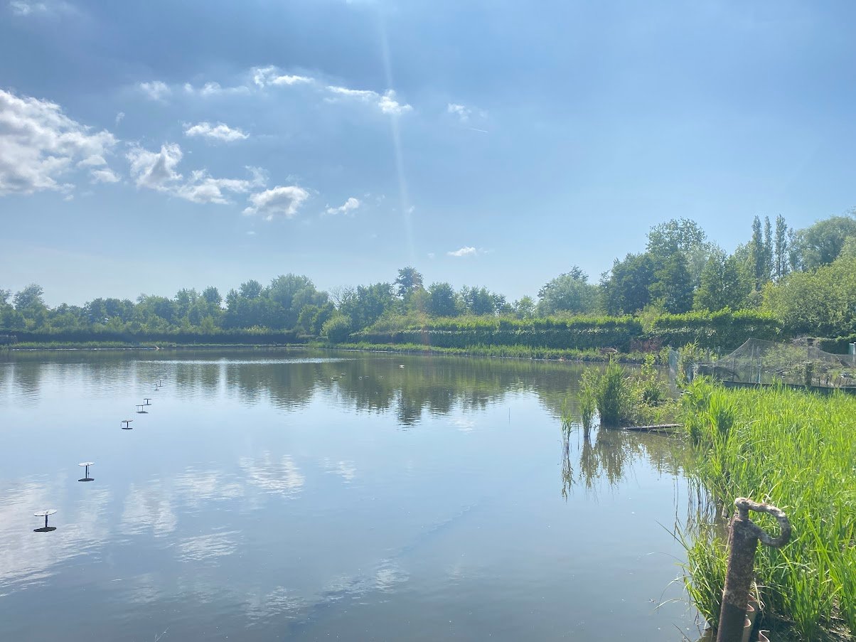 Hutte dans le marais de Guines (Pas de Calais)