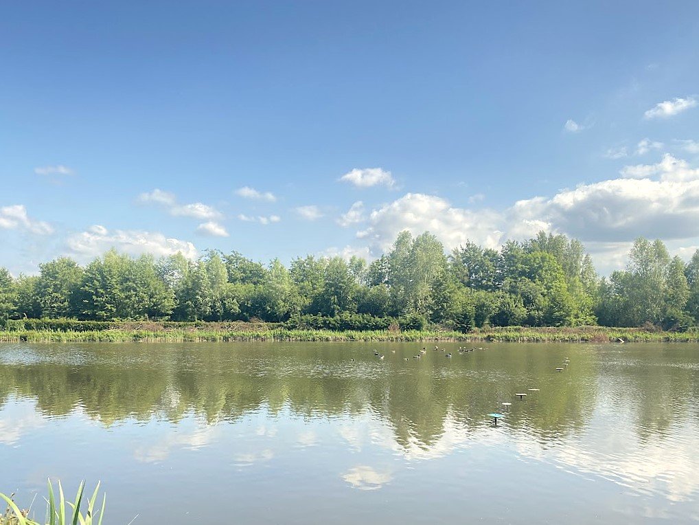 Hutte dans le marais de Guines (Pas de Calais)